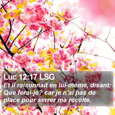 Luc 12:17 LSG Bible Verse Image