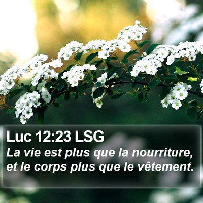 Luc 12:23 LSG Bible Verse Image