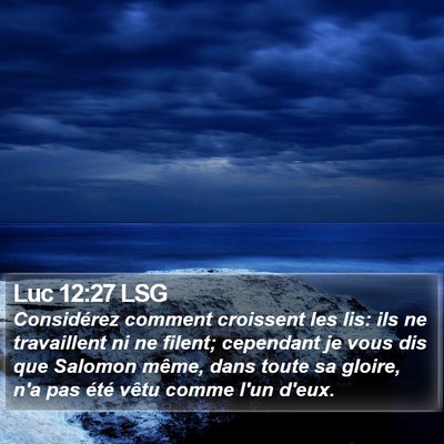 Luc 12:27 LSG Bible Verse Image
