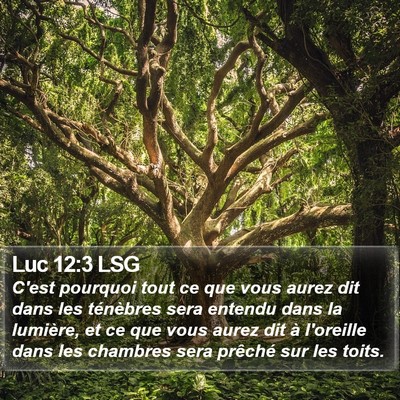 Luc 12:3 LSG Bible Verse Image