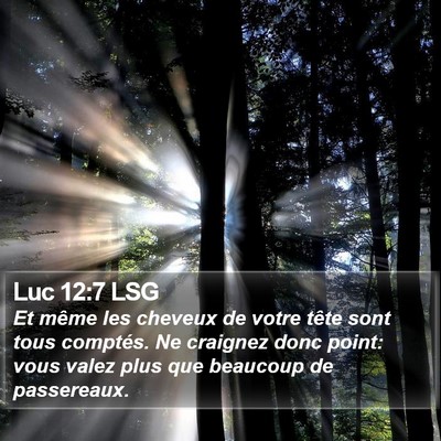 Luc 12:7 LSG Bible Verse Image