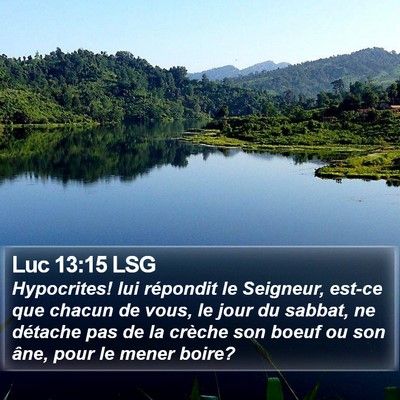 Luc 13:15 LSG Bible Verse Image