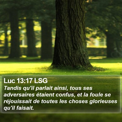 Luc 13:17 LSG Bible Verse Image