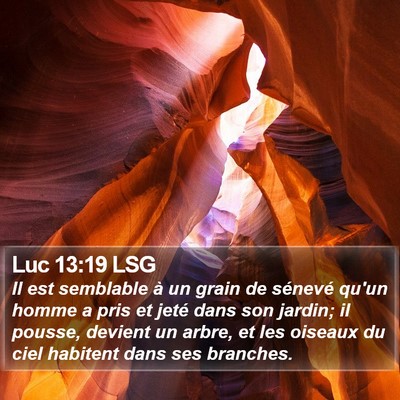 Luc 13:19 LSG Bible Verse Image