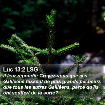 Luc 13:2 LSG Bible Verse Image