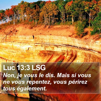 Luc 13:3 LSG Bible Verse Image