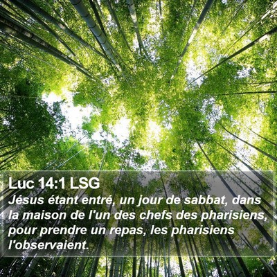 Luc 14:1 LSG Bible Verse Image