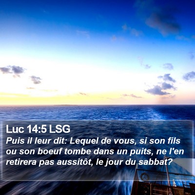 Luc 14:5 LSG Bible Verse Image