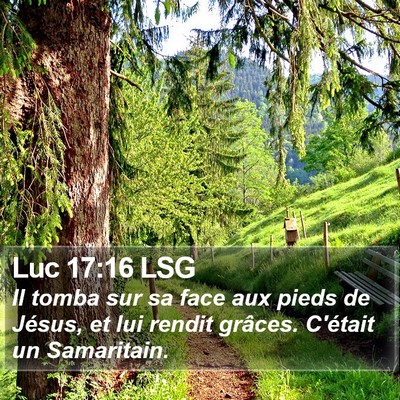 Luc 17:16 LSG Bible Verse Image