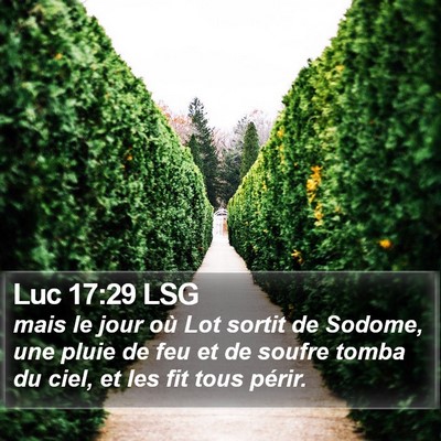 Luc 17:29 LSG Bible Verse Image