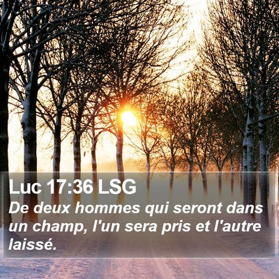 Luc 17:36 LSG Bible Verse Image