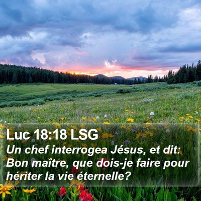 Luc 18:18 LSG Bible Verse Image
