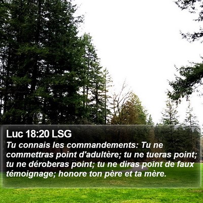 Luc 18:20 LSG Bible Verse Image