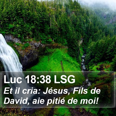 Luc 18:38 LSG Bible Verse Image
