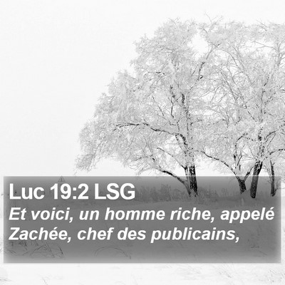 Luc 19:2 LSG Bible Verse Image