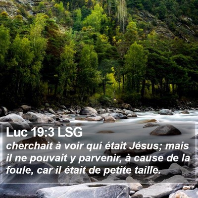 Luc 19:3 LSG Bible Verse Image