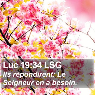 Luc 19:34 LSG Bible Verse Image