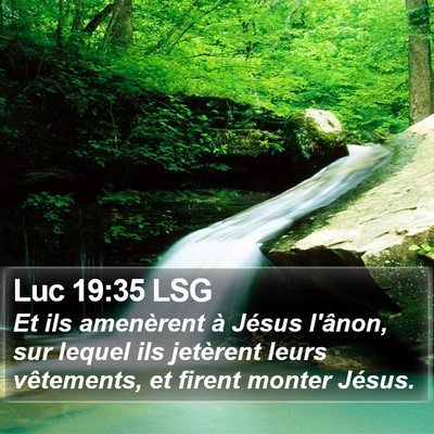 Luc 19:35 LSG Bible Verse Image