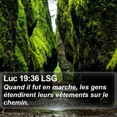 Luc 19:36 LSG Bible Verse Image