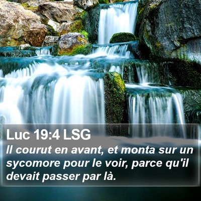 Luc 19:4 LSG Bible Verse Image