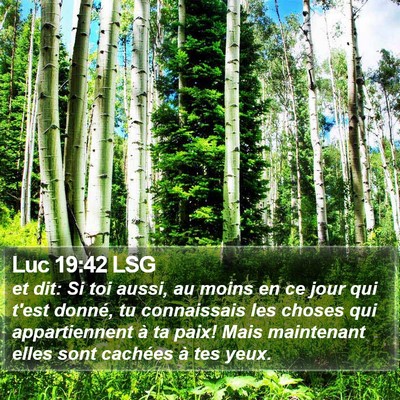Luc 19:42 LSG Bible Verse Image