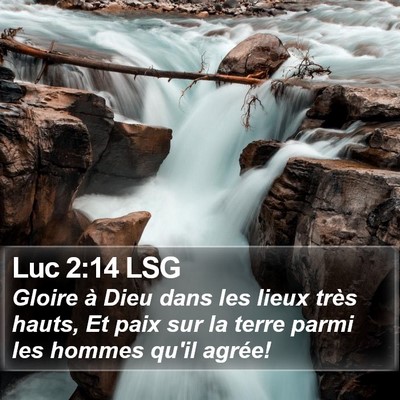 Luc 2:14 LSG Bible Verse Image