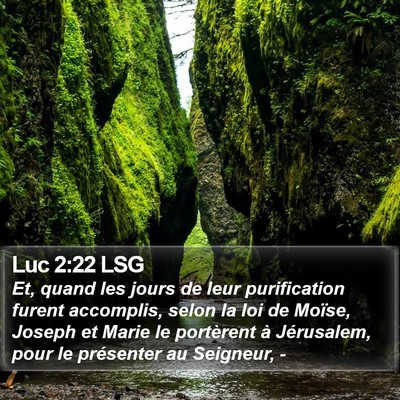 Luc 2:22 LSG Bible Verse Image