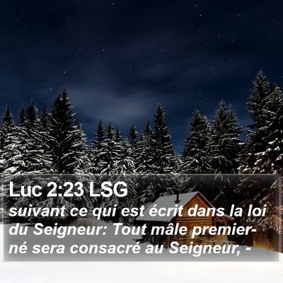 Luc 2:23 LSG Bible Verse Image