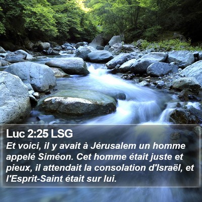 Luc 2:25 LSG Bible Verse Image