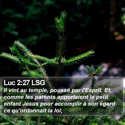 Luc 2:27 LSG Bible Verse Image