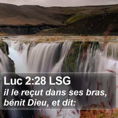 Luc 2:28 LSG Bible Verse Image