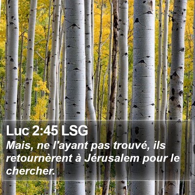 Luc 2:45 LSG Bible Verse Image