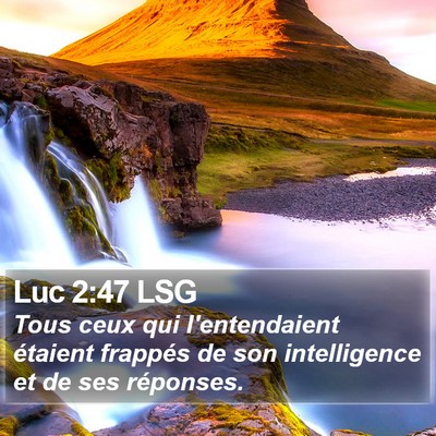 Luc 2:47 LSG Bible Verse Image