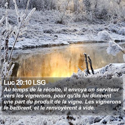 Luc 20:10 LSG Bible Verse Image