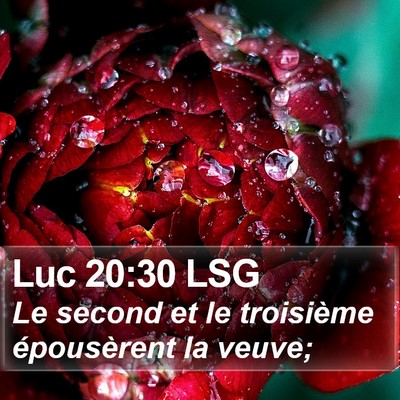 Luc 20:30 LSG Bible Verse Image