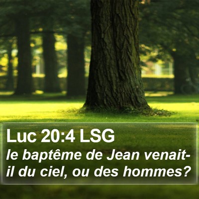 Luc 20:4 LSG Bible Verse Image