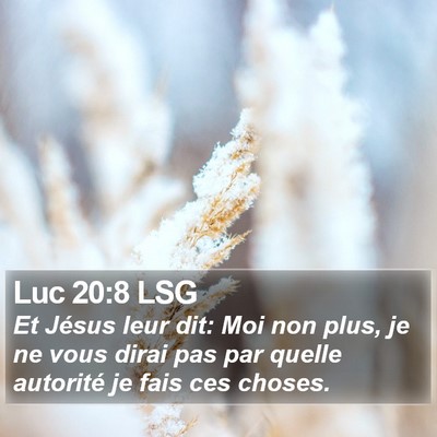 Luc 20:8 LSG Bible Verse Image