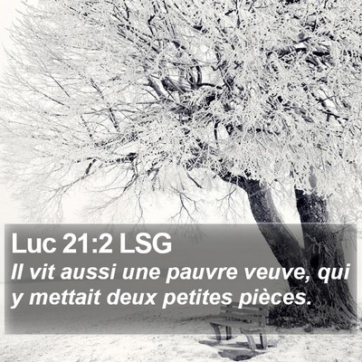Luc 21:2 LSG Bible Verse Image