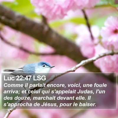 Luc 22:47 LSG Bible Verse Image