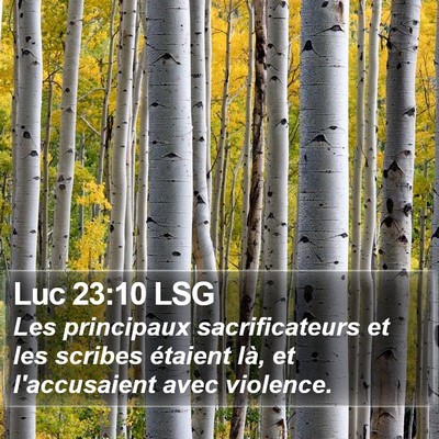 Luc 23:10 LSG Bible Verse Image