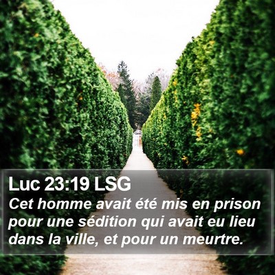 Luc 23:19 LSG Bible Verse Image