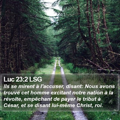 Luc 23:2 LSG Bible Verse Image