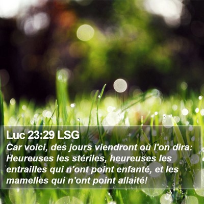 Luc 23:29 LSG Bible Verse Image