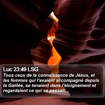 Luc 23:49 LSG Bible Verse Image