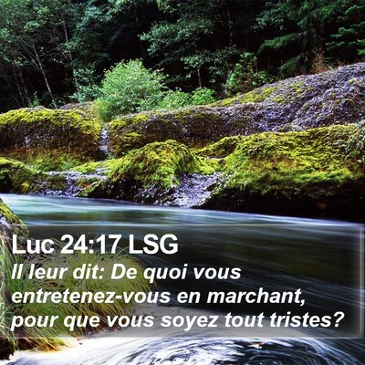 Luc 24:17 LSG Bible Verse Image