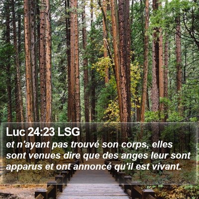Luc 24:23 LSG Bible Verse Image
