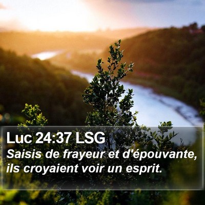 Luc 24:37 LSG Bible Verse Image