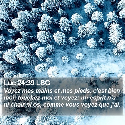 Luc 24:39 LSG Bible Verse Image