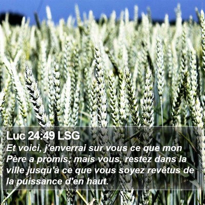 Luc 24:49 LSG Bible Verse Image
