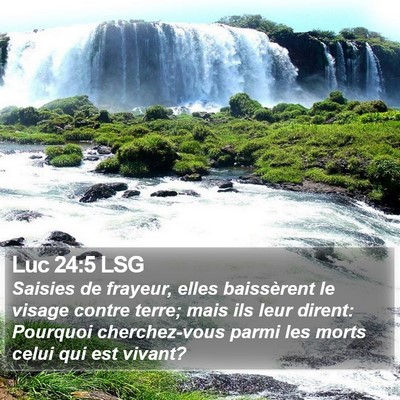 Luc 24:5 LSG Bible Verse Image